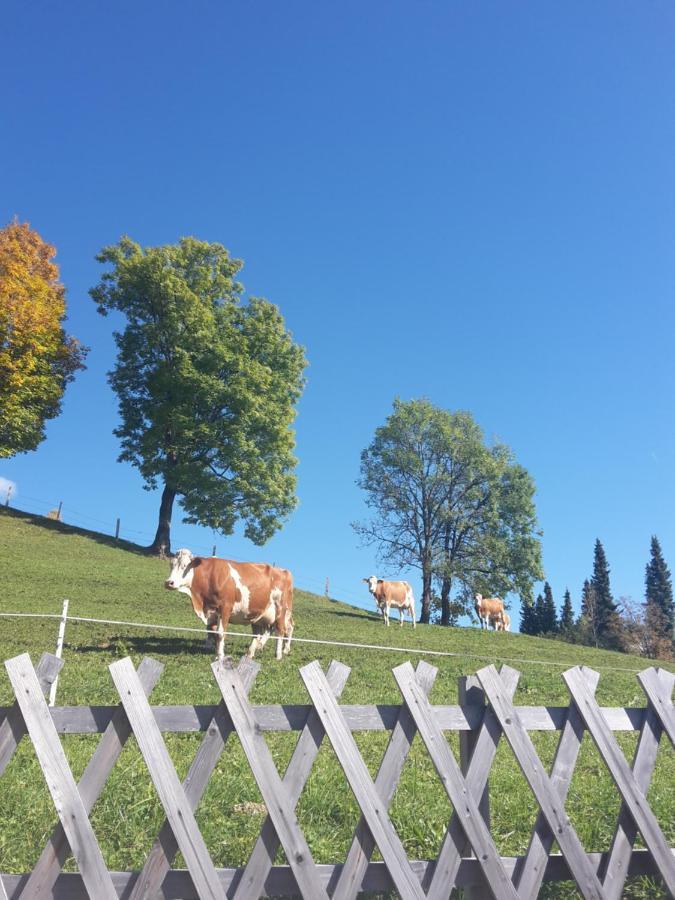 Bergpension-Ebental Brixen im Thale Exterior photo