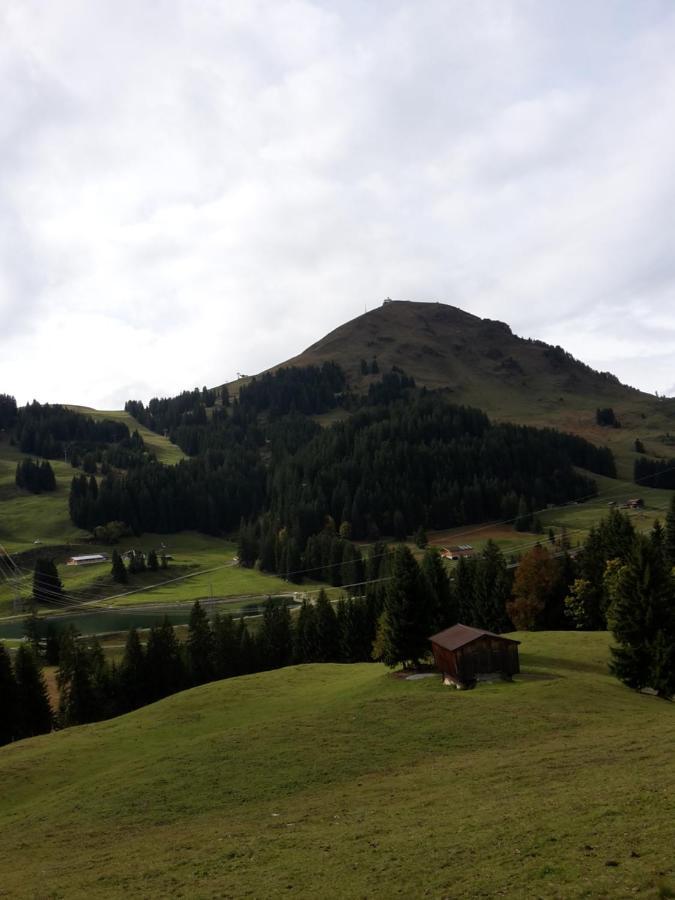 Bergpension-Ebental Brixen im Thale Exterior photo