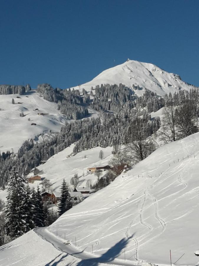 Bergpension-Ebental Brixen im Thale Exterior photo